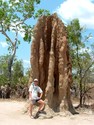 Catherdral termite mound